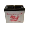 Castorama Batterie U1L9 12v – 24A acheter en ligne 5