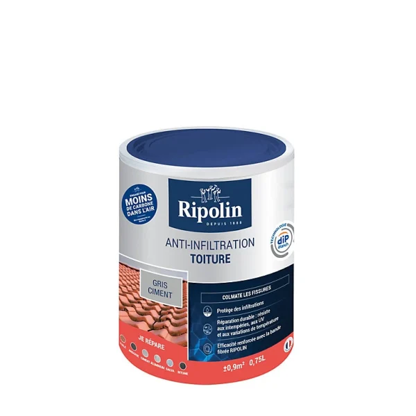 magasin paris Castorama Revêtement Anti-infiltration Toiture Extérieur Gris Ciment Ripolin 0,75L 1